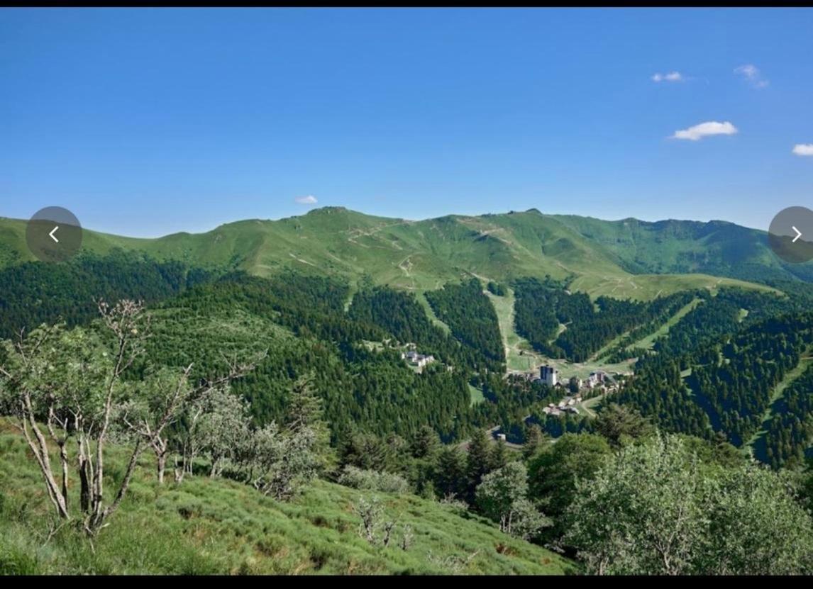 Village Montanha Lioran Saint-Jacques-des-Blats Extérieur photo